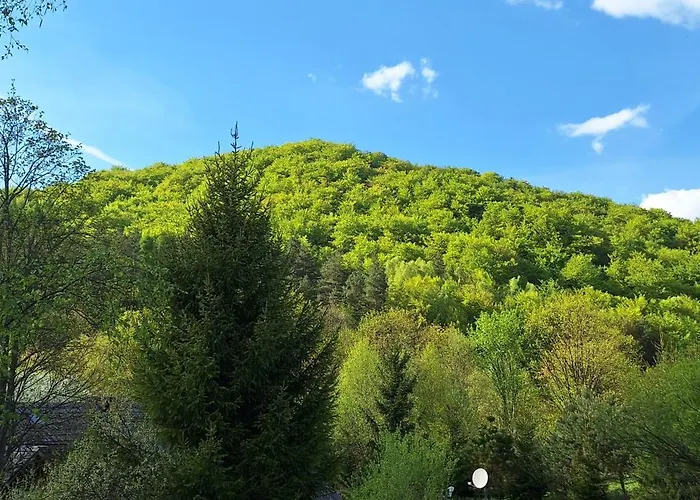 Beskid Masala Bed and breakfast Ropki