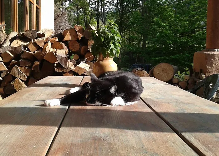 Beskid Masala Bed and breakfast 3*